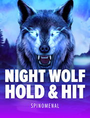 Night Wolf - Hold & Hit