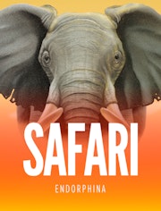 Safari