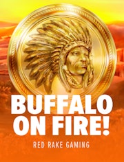Buffalo on fire!