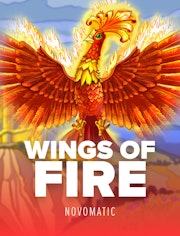 Wings Of Fire