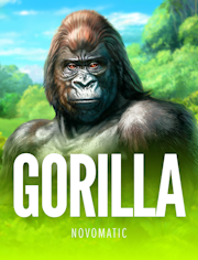Gorilla