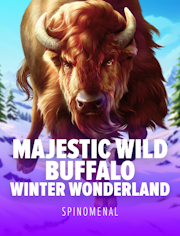 Majestic Wild Buffalo - Winter Wonderland