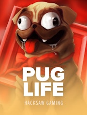 Pug Life