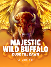 Majestic Wild Buffalo - Dusk Till Dawn