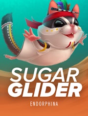 Sugar Glider