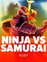 Ninja vs Samurai