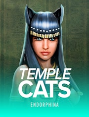 Temple Cats
