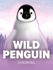 Wild Penguin