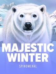 Majestic Winter