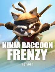 Ninja Raccoon Frenzy