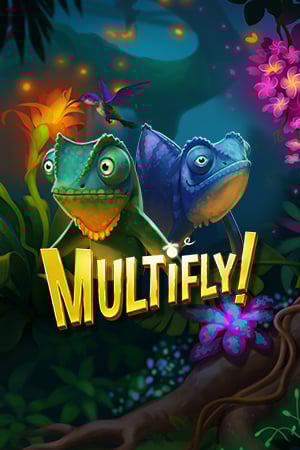 MultiFly!
